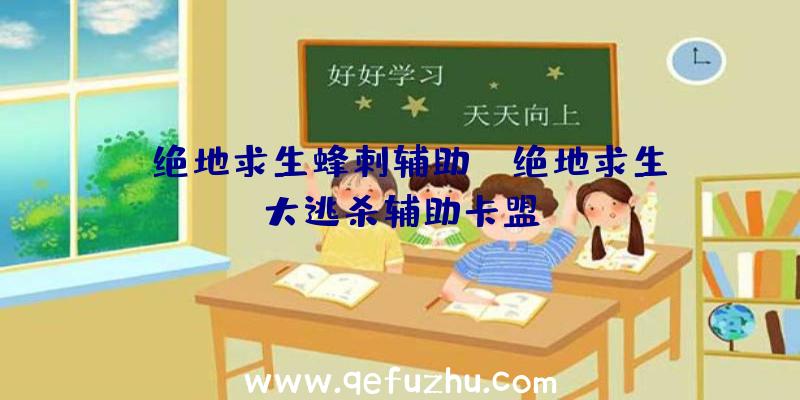 「绝地求生蜂刺辅助」|绝地求生大逃杀辅助卡盟
